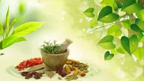 wellhealth ayurvedic health tips