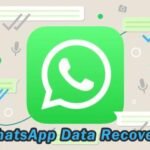 How to reset whatsapp settings without losing data