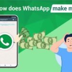 how does whatsapp make money