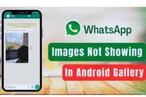 How to Hide WhatsApp Media from Gallery