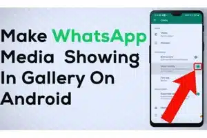 How to Hide WhatsApp Media from Gallery