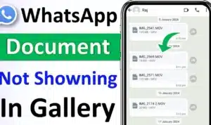 how to show whatsapp images in gallery