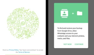 How to restore WhatsApp messages on new phone