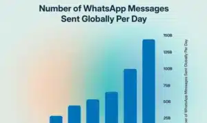 WhatsApp User Statistics